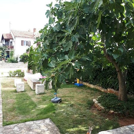 Studio Apartman Splash Pjescana Uvala Εξωτερικό φωτογραφία