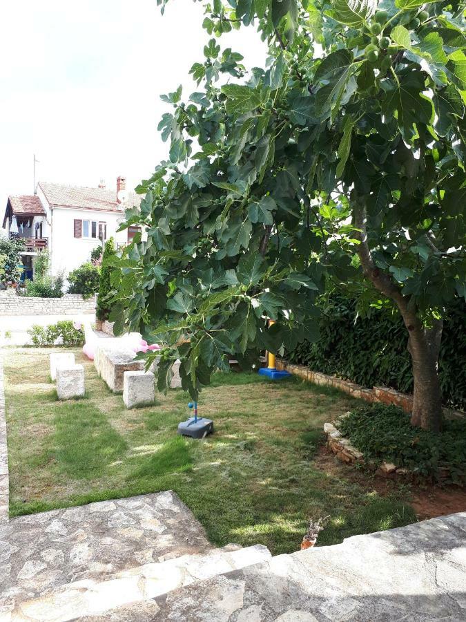 Studio Apartman Splash Pjescana Uvala Εξωτερικό φωτογραφία